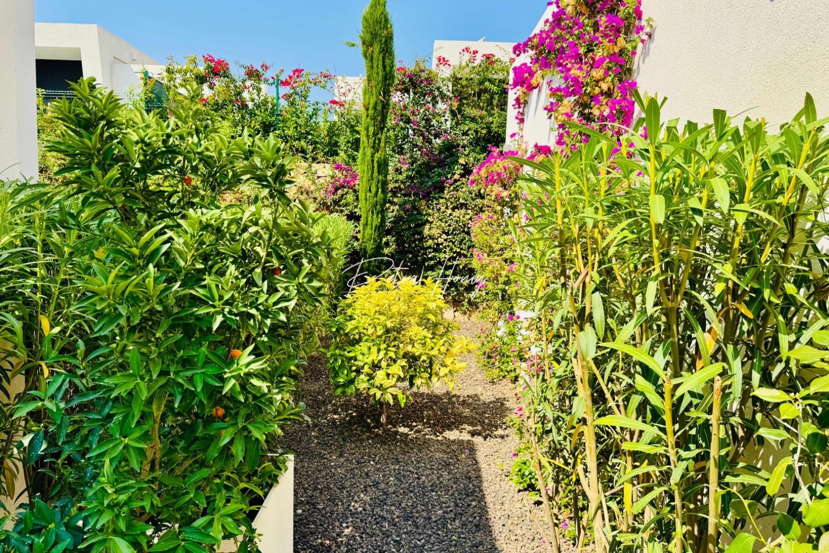 A Vendre - Villa - Algorfa - La Finca Golf - La Finca Golf