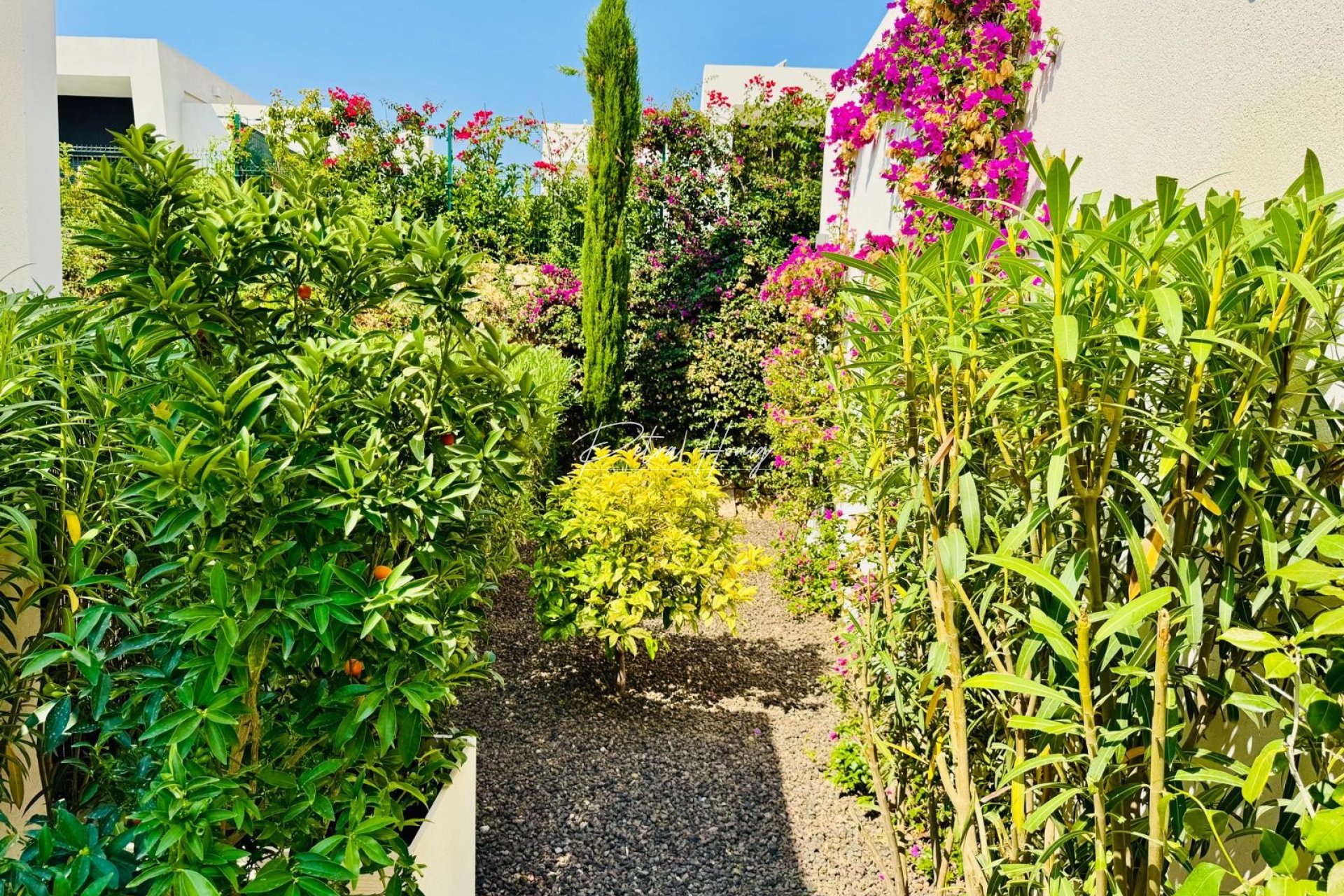 A Vendre - Villa - Algorfa - La Finca Golf