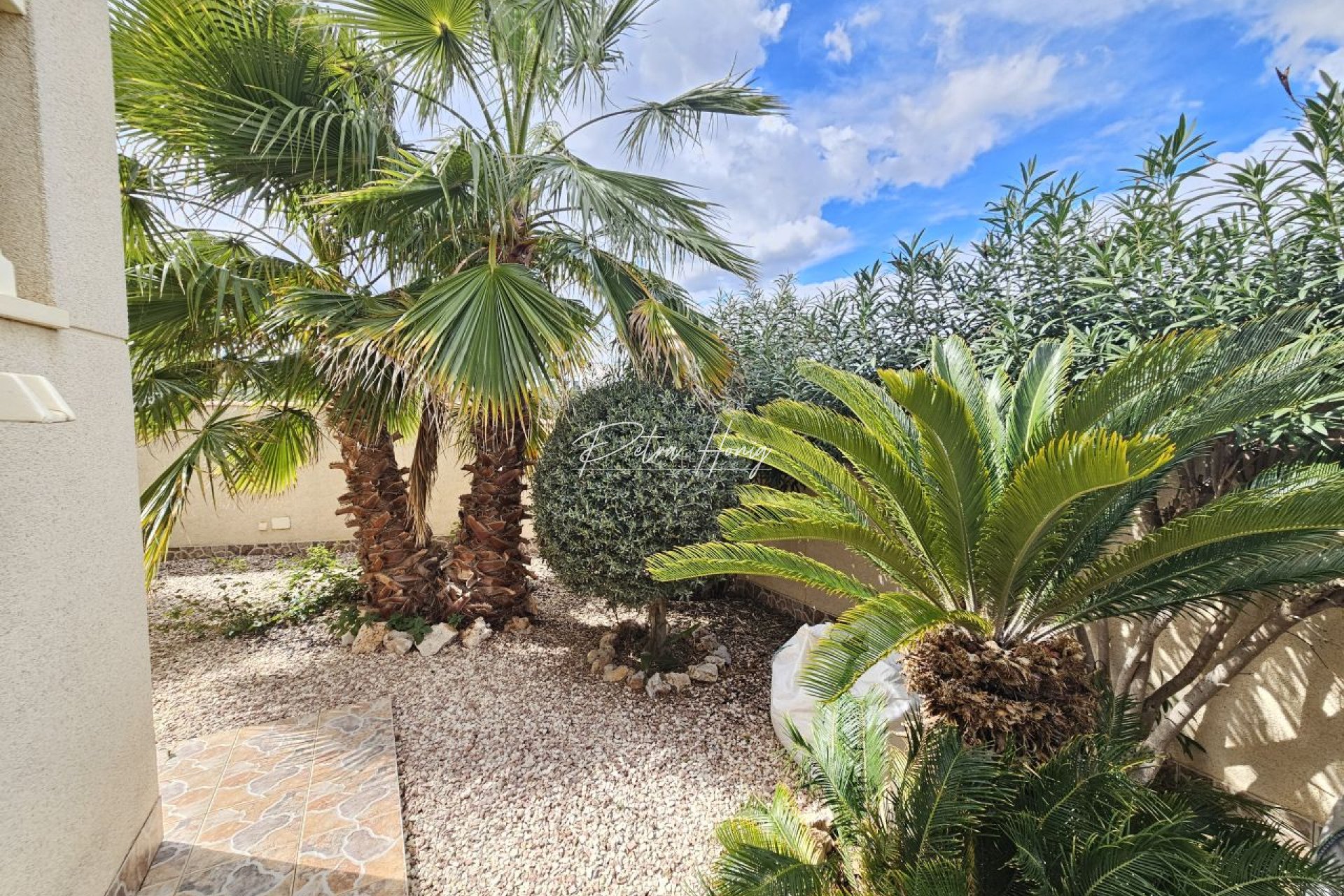 A Vendre - Villa - Benijofar - Benimar 3