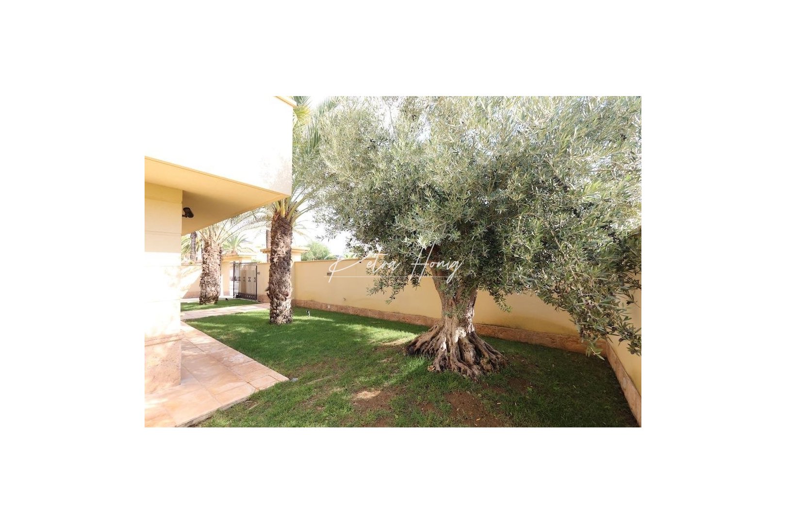 A Vendre - Villa - Cabo Roig - Costa blanca