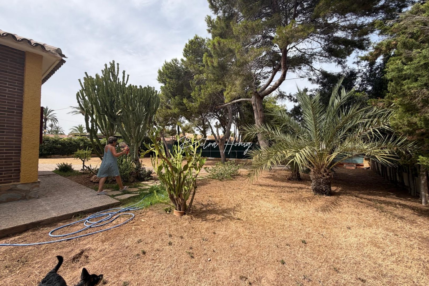 A Vendre - Villa - Cabo Roig - Orihuela Costa