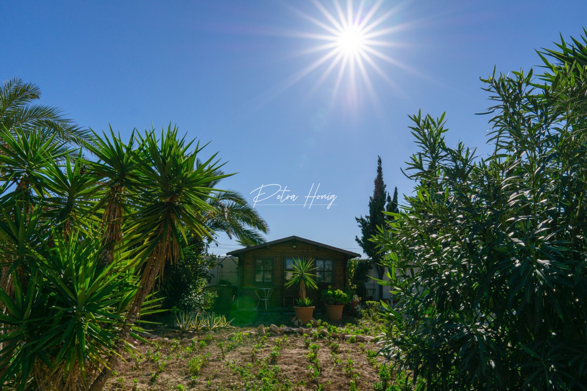 A Vendre - Villa - Ciudad Quesada - Atalaya Park