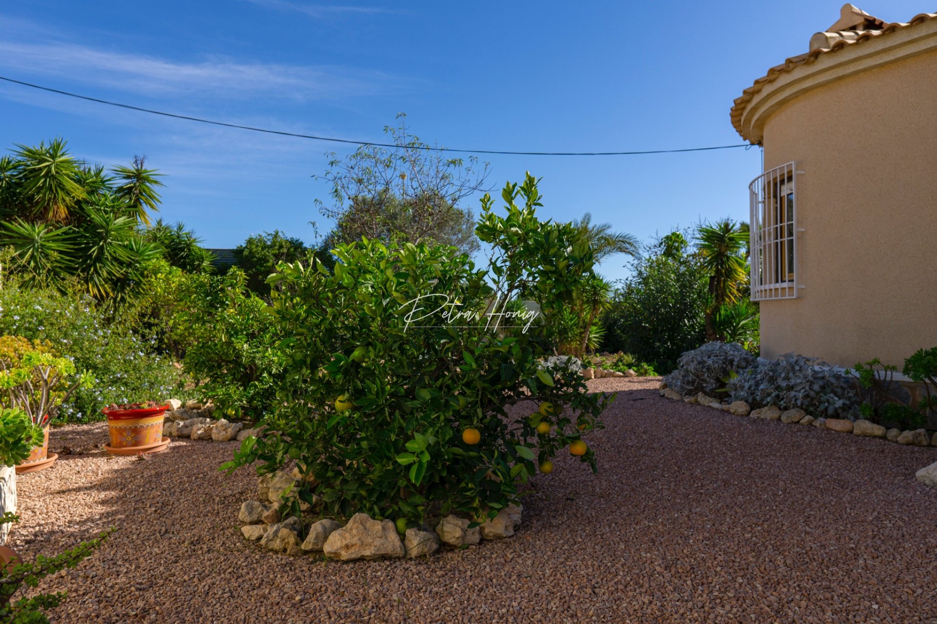 A Vendre - Villa - Ciudad Quesada - Atalaya Park