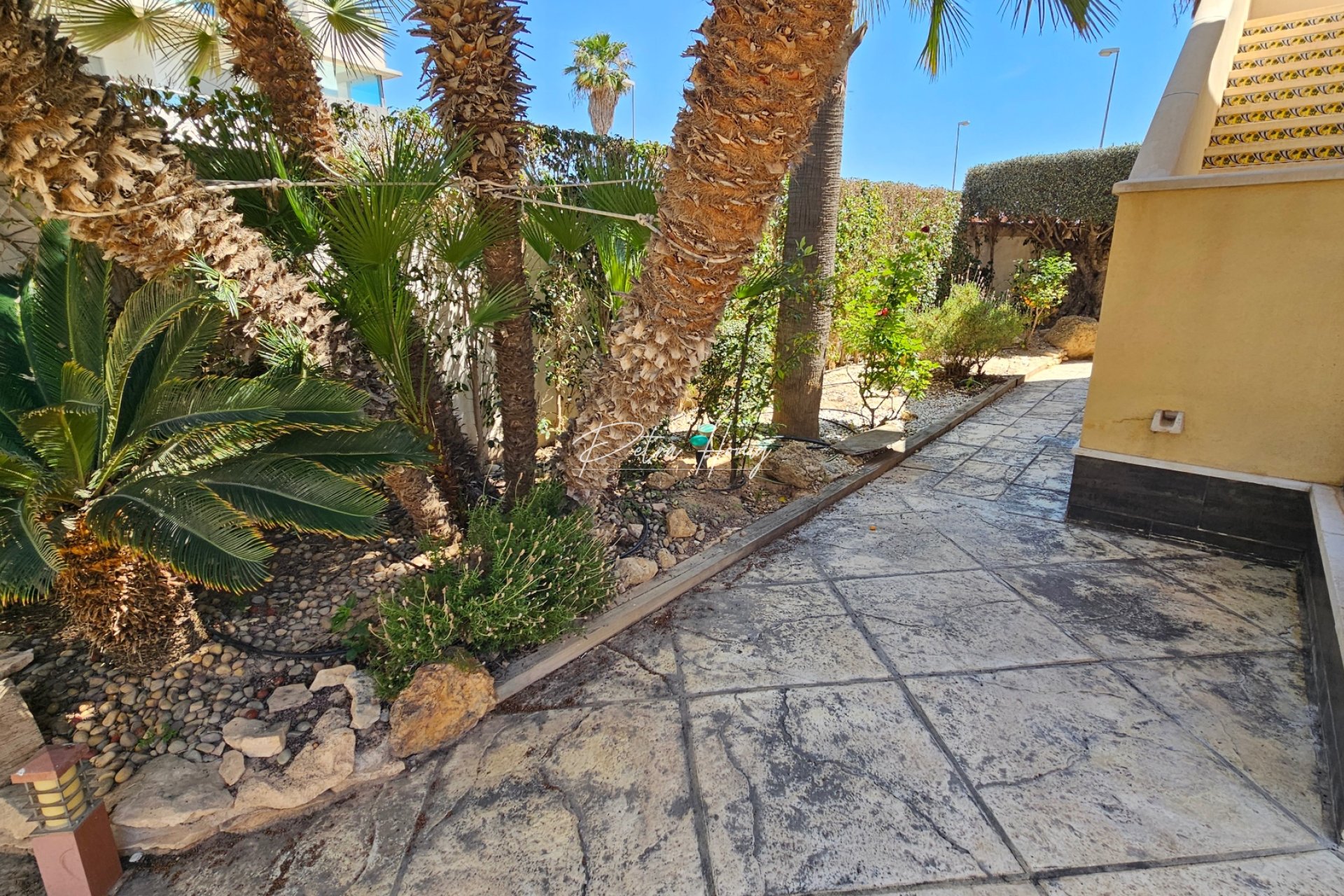A Vendre - Villa - Ciudad Quesada - Dona Pepa