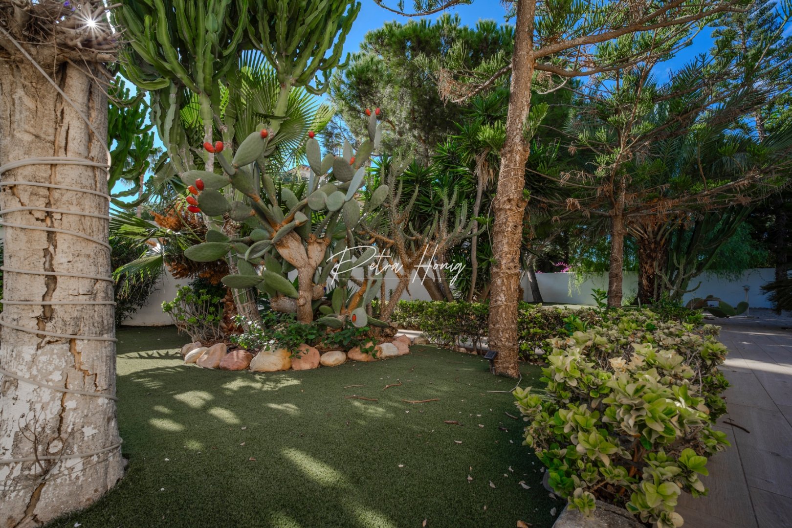 A Vendre - Villa - Ciudad Quesada - Dona Pepa