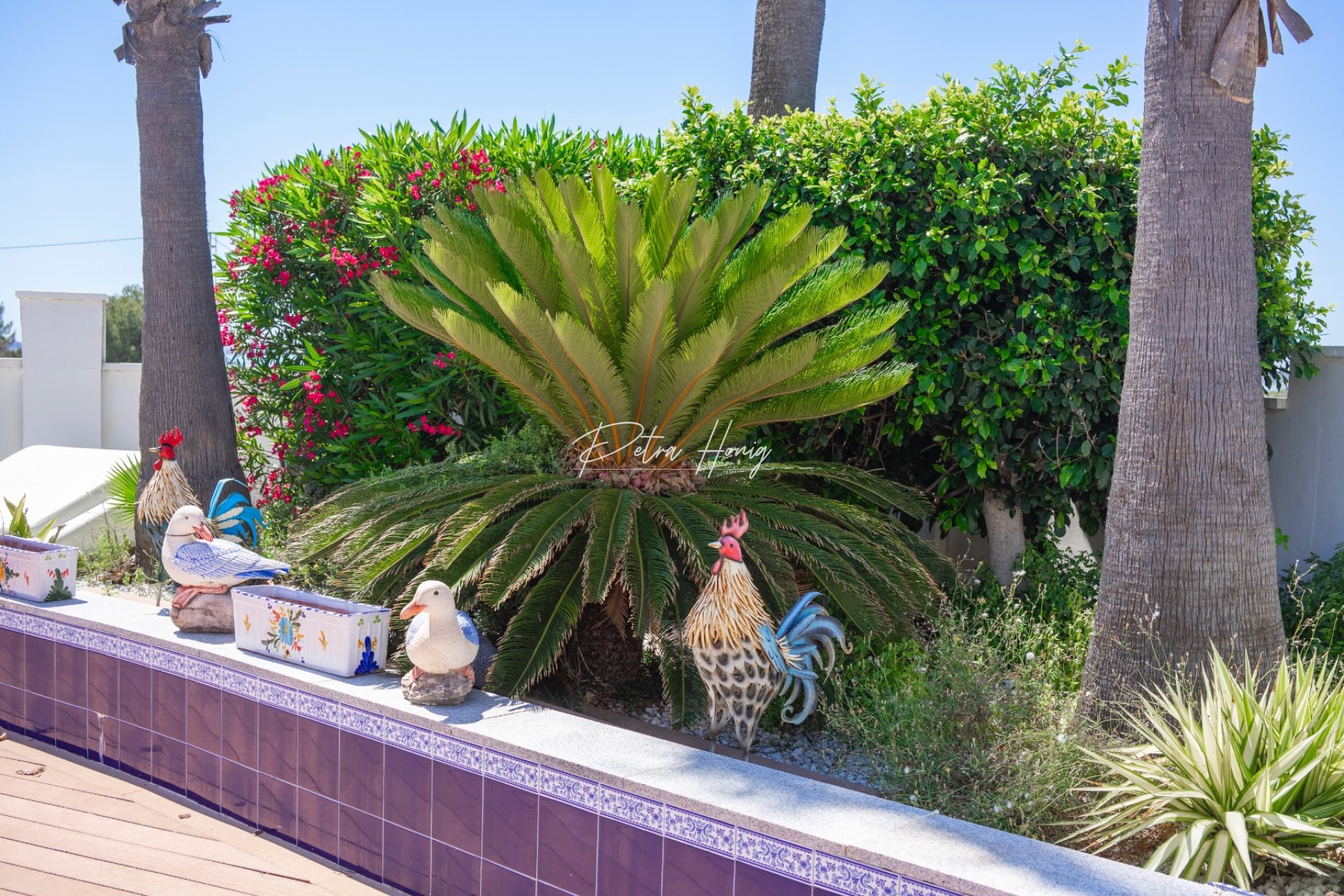 A Vendre - Villa - Ciudad Quesada - La Fiesta