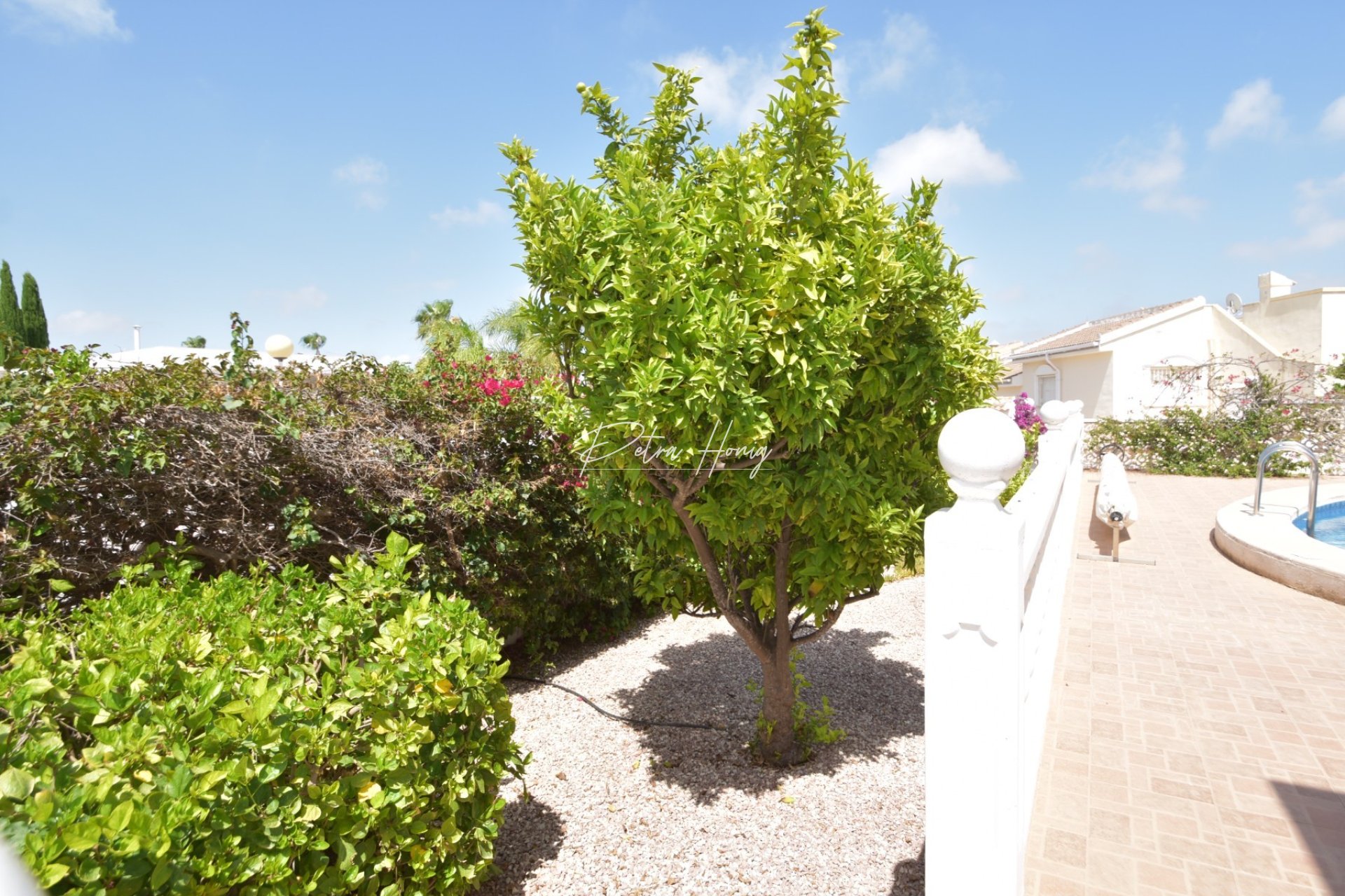 A Vendre - Villa - Ciudad Quesada - La Fiesta