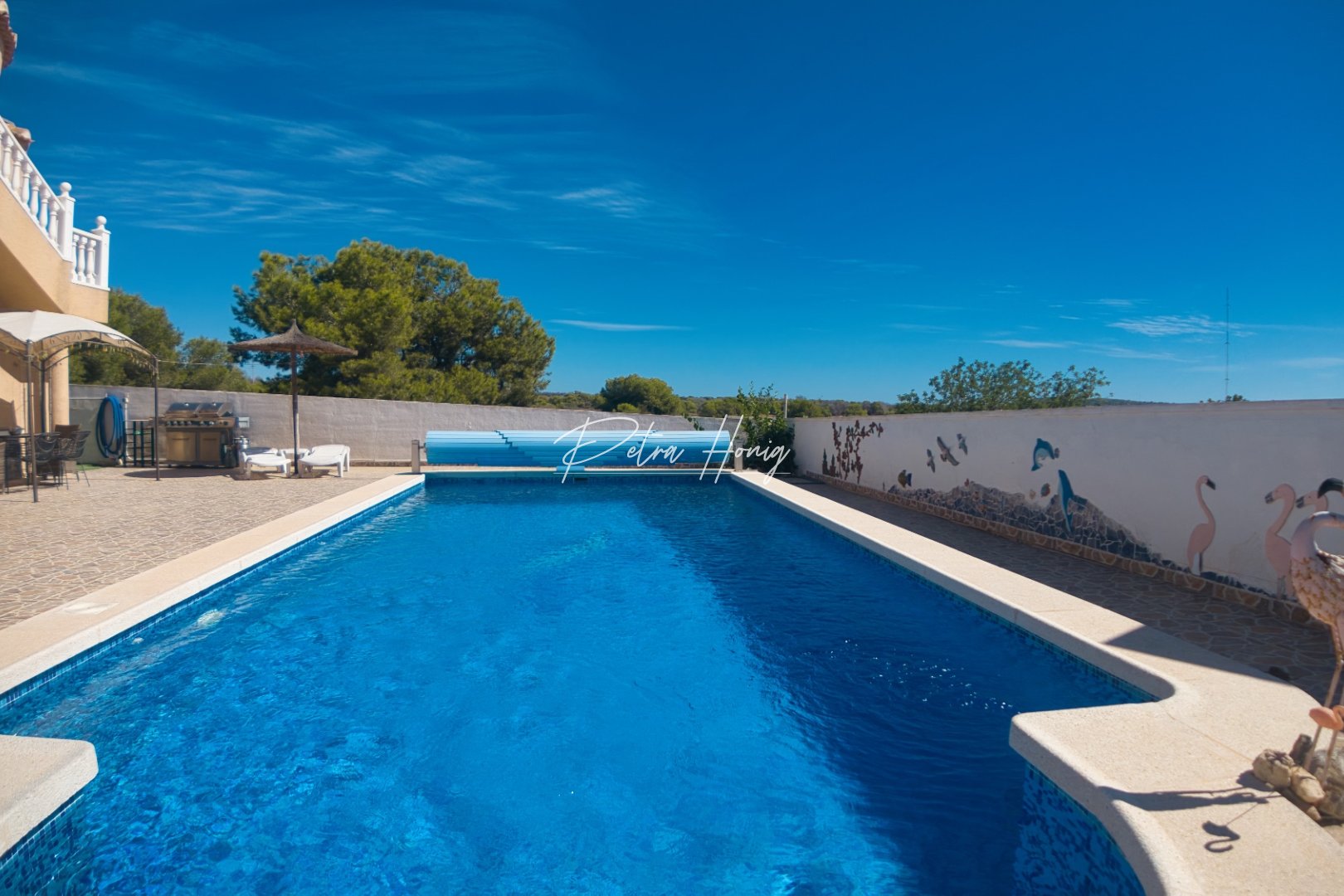 A Vendre - Villa - Ciudad Quesada - Lo Pepin