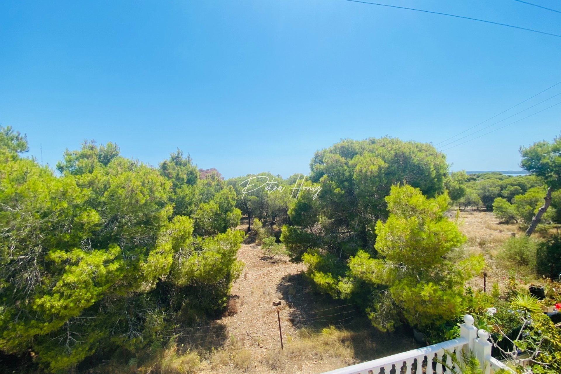 A Vendre - Villa - Ciudad Quesada - Lo Pepin