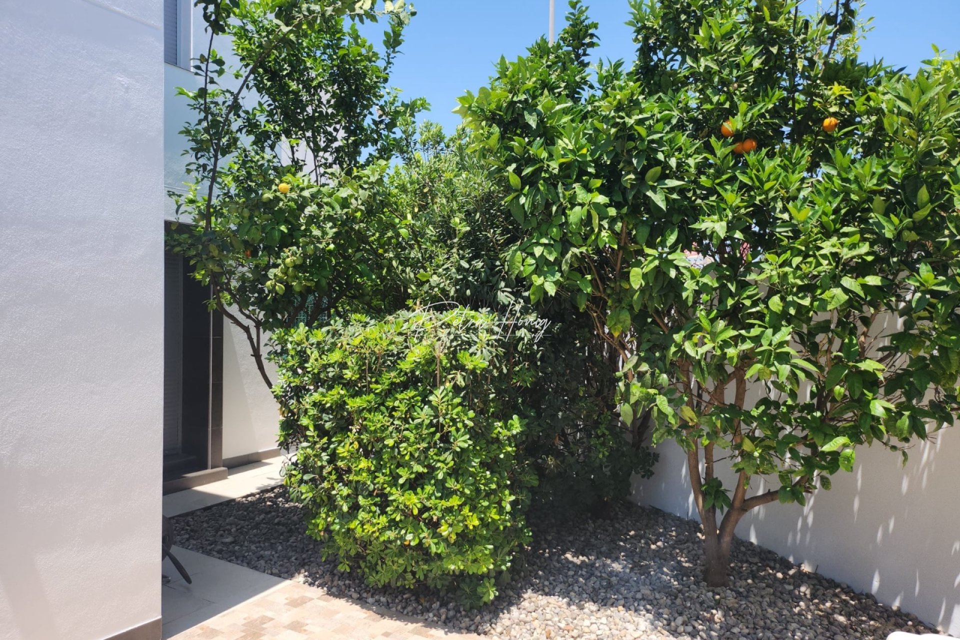 A Vendre - Villa - Ciudad Quesada - Pueblo Bravo