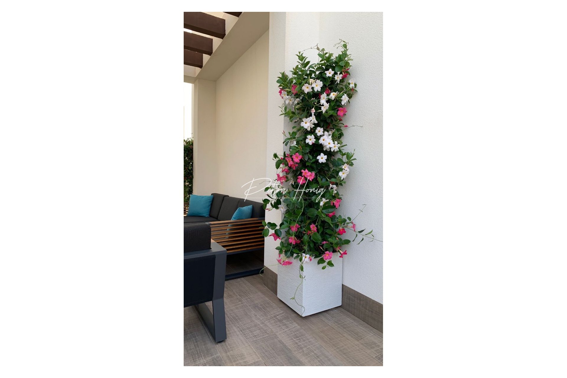 A Vendre - Villa - Ciudad Quesada - Pueblo Bravo