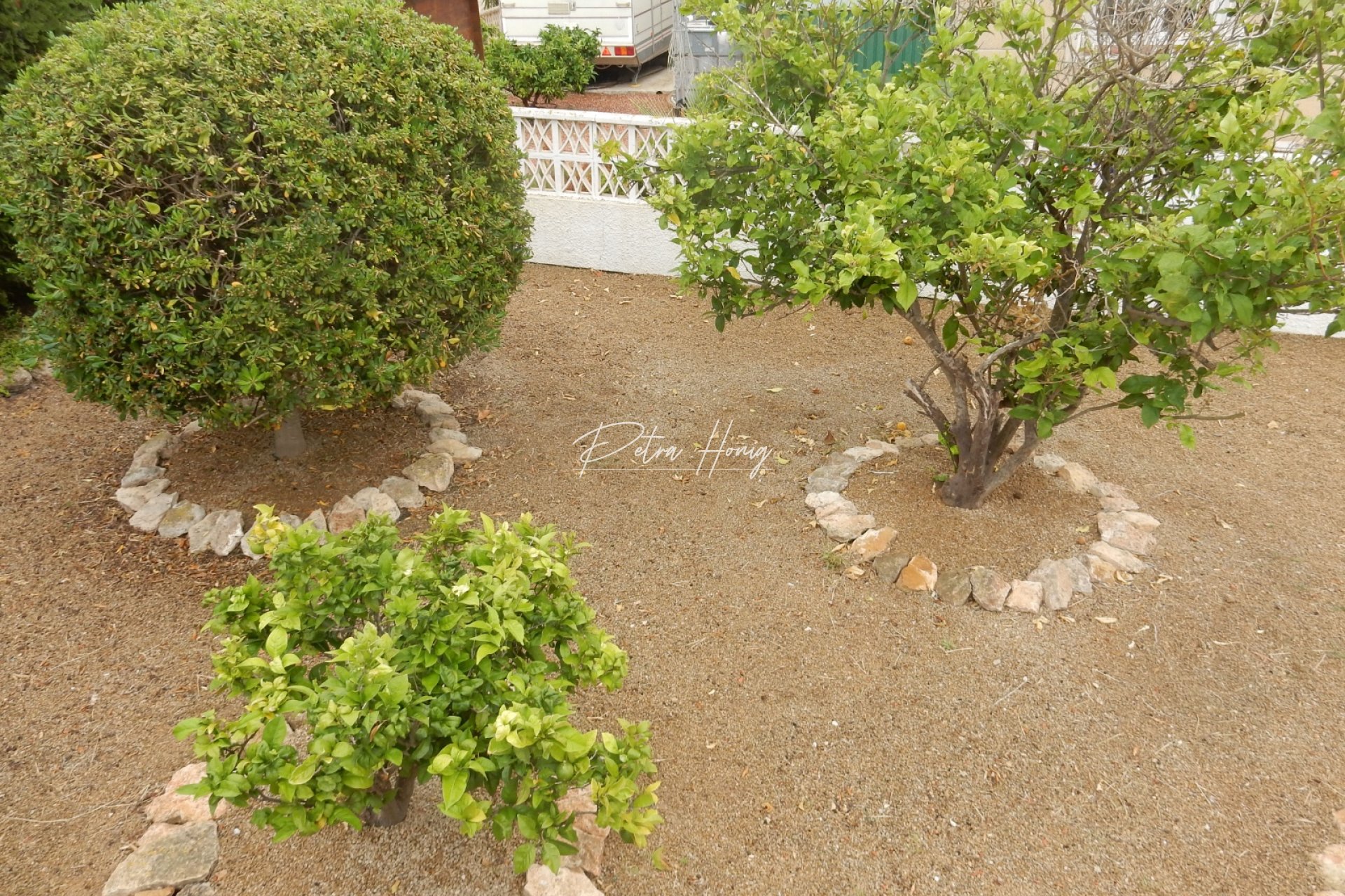 A Vendre - Villa - Ciudad Quesada - Town Center