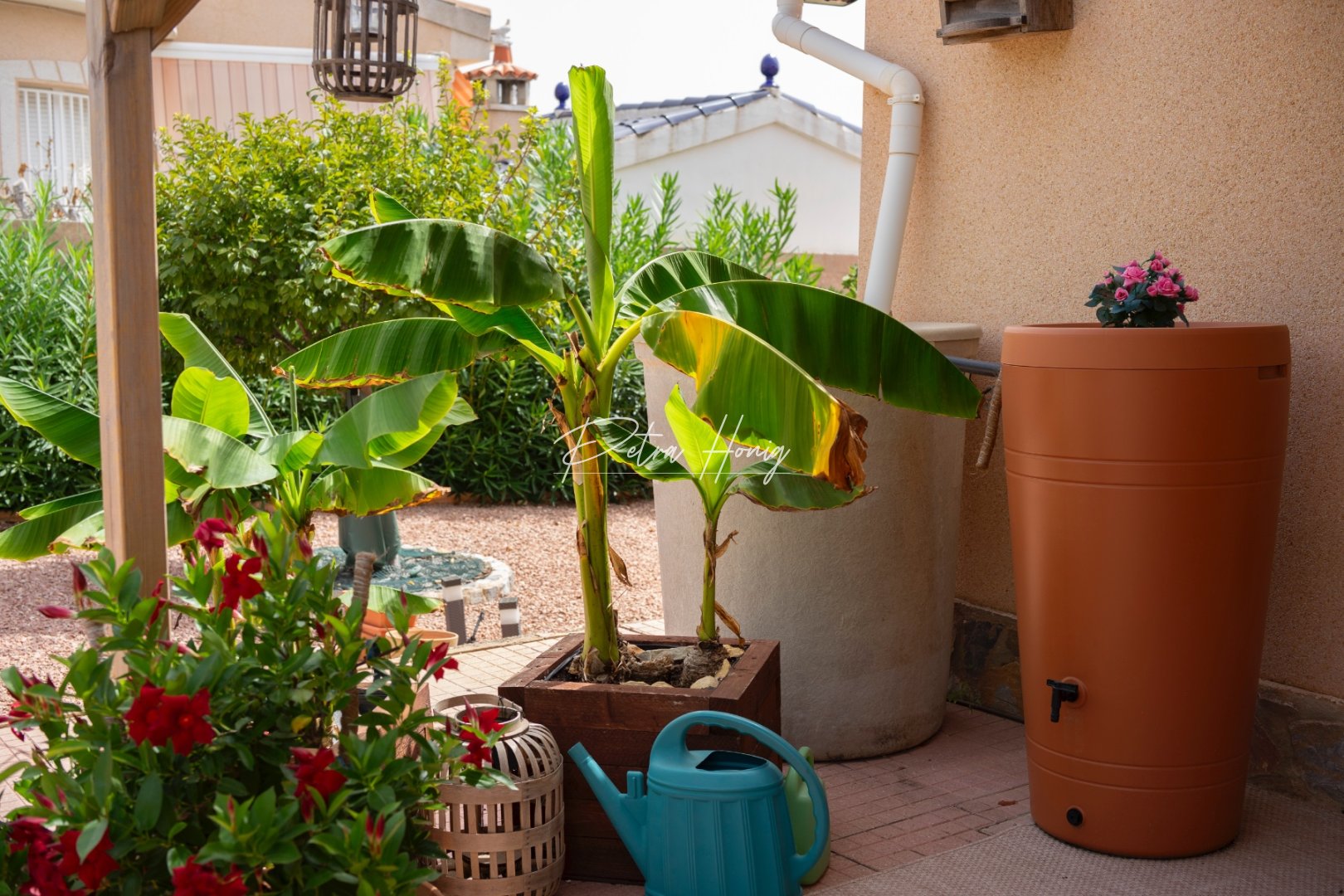 A Vendre - Villa - Ciudad Quesada - Town Center