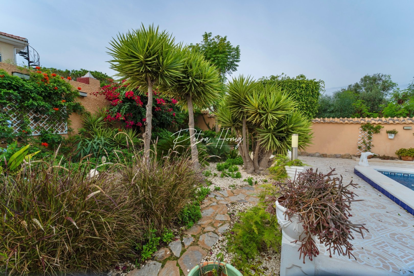 A Vendre - Villa - Ciudad Quesada - Town Center