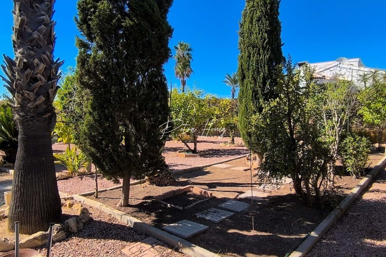 A Vendre - Villa - Ciudad Quesada - Town Center
