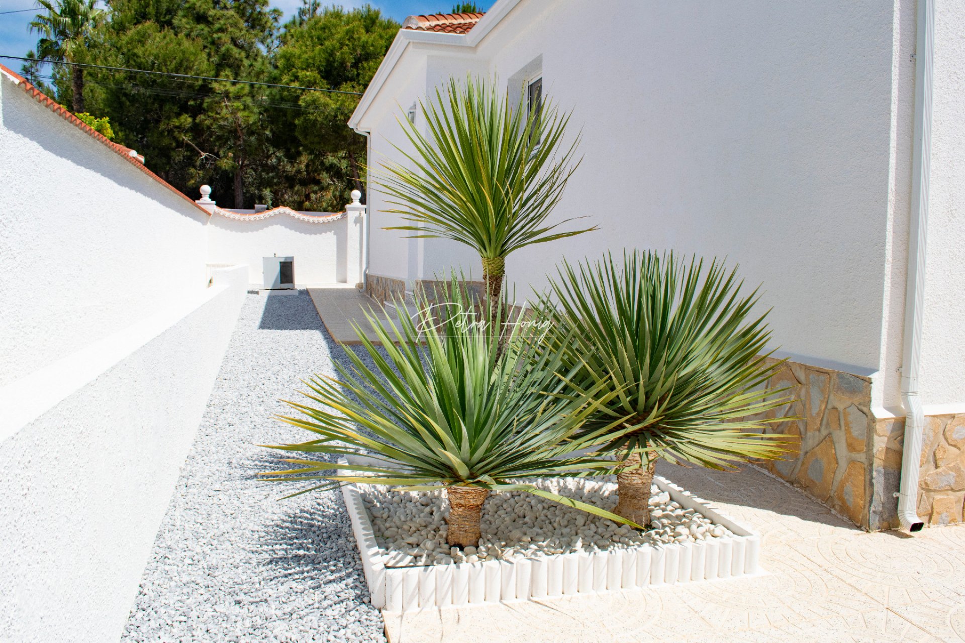 A Vendre - Villa - Ciudad Quesada - Town Center