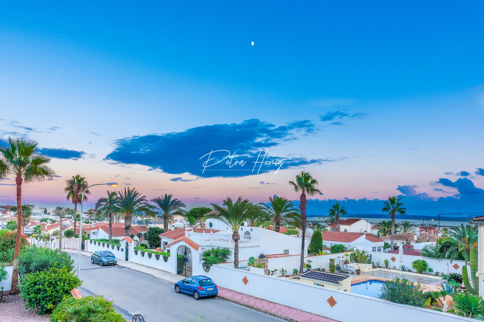 A Vendre - Villa - Ciudad Quesada - Town Center