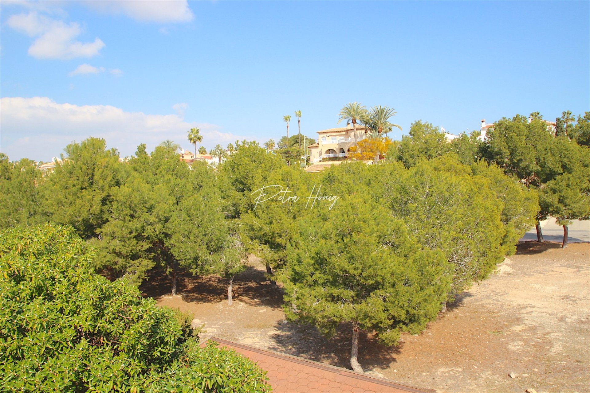 A Vendre - Villa - Ciudad Quesada - Town Center