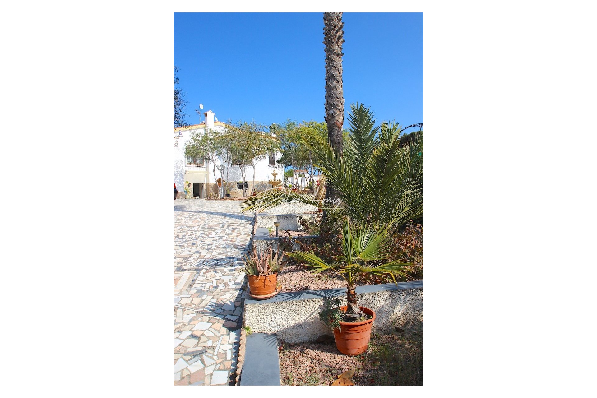 A Vendre - Villa - Ciudad Quesada - Town Center