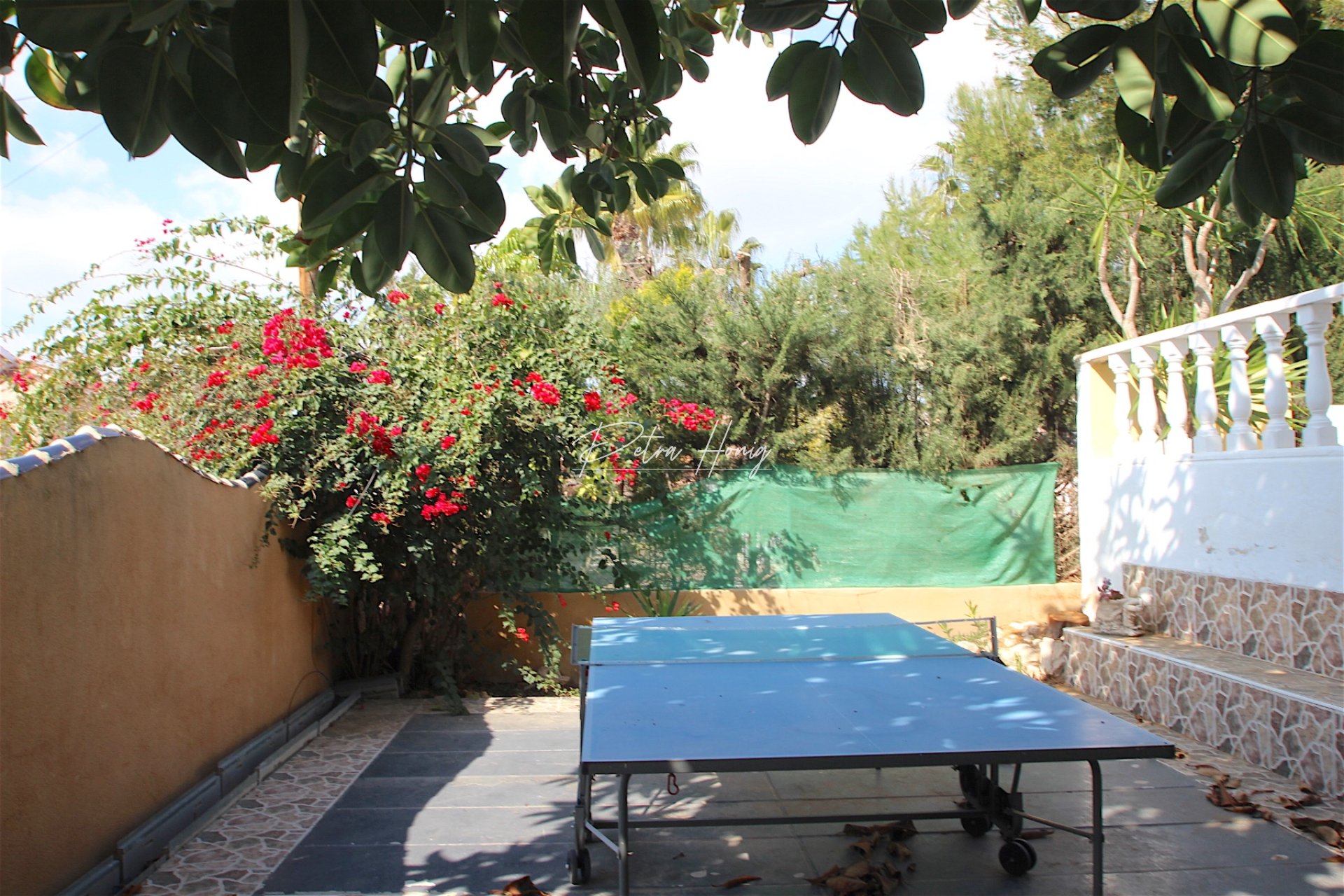 A Vendre - Villa - Ciudad Quesada - Town Center