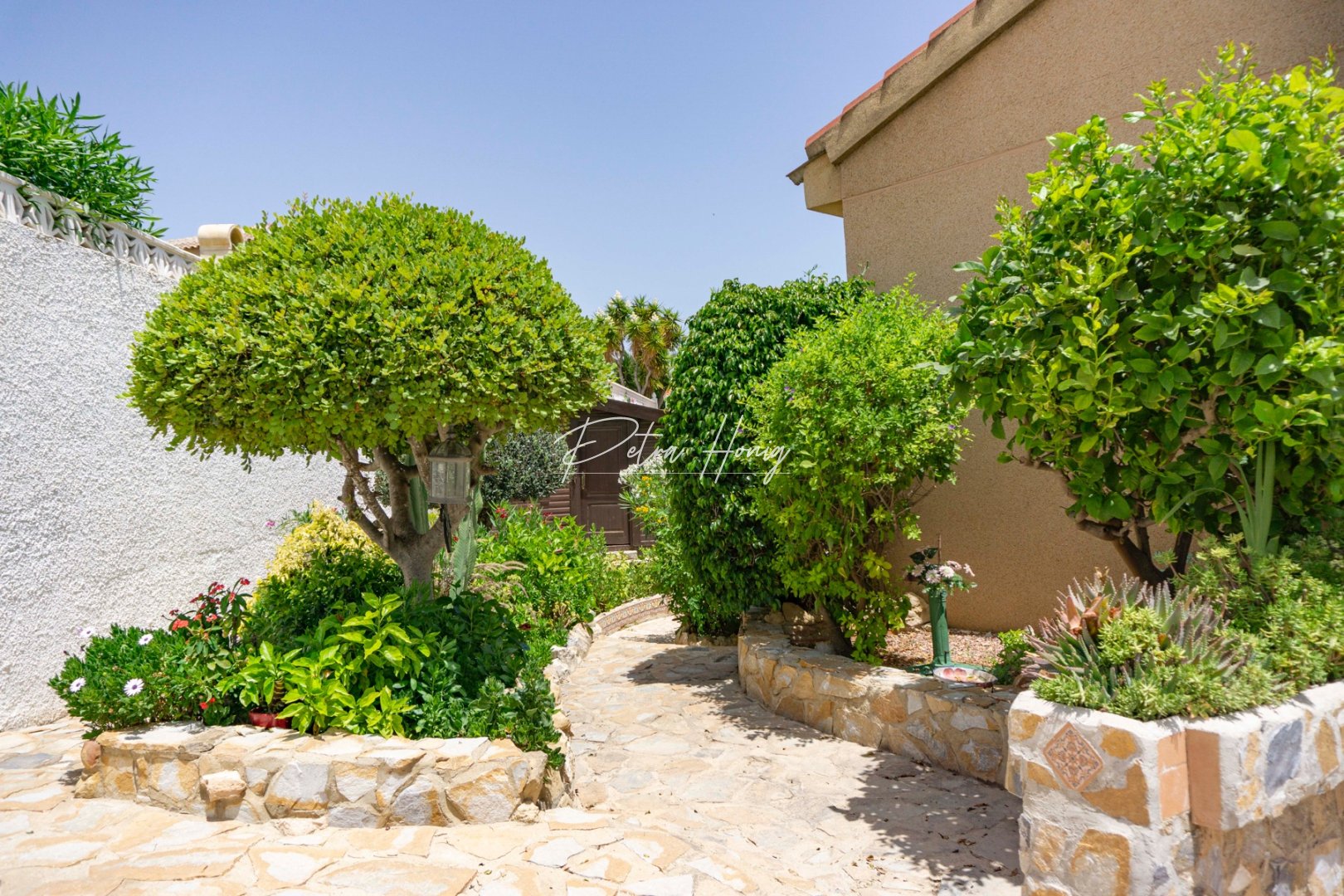 A Vendre - Villa - Ciudad Quesada - Town Center