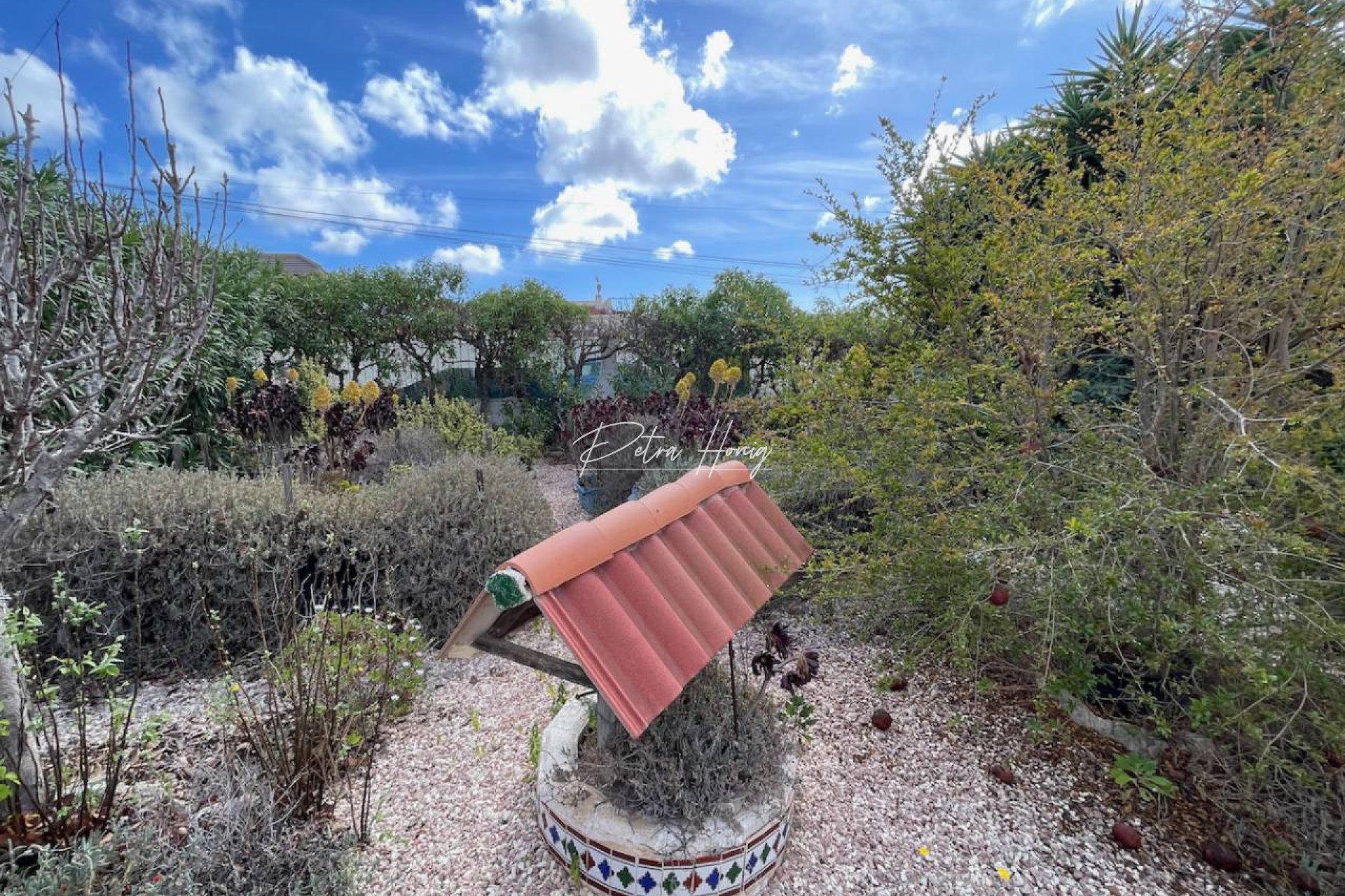 A Vendre - Villa - Ciudad Quesada - Town Center