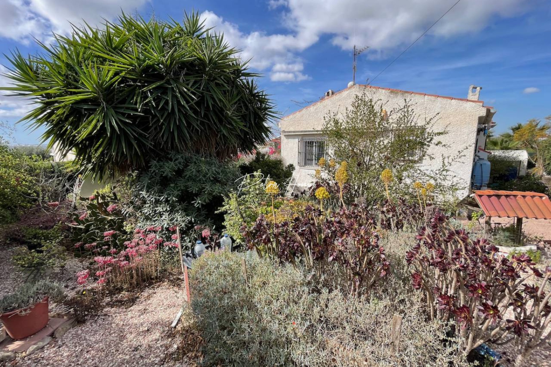 A Vendre - Villa - Ciudad Quesada - Town Center