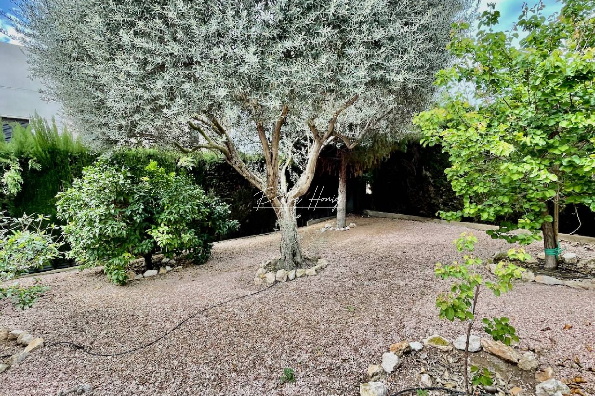 A Vendre - Villa - Ciudad Quesada - Town Center