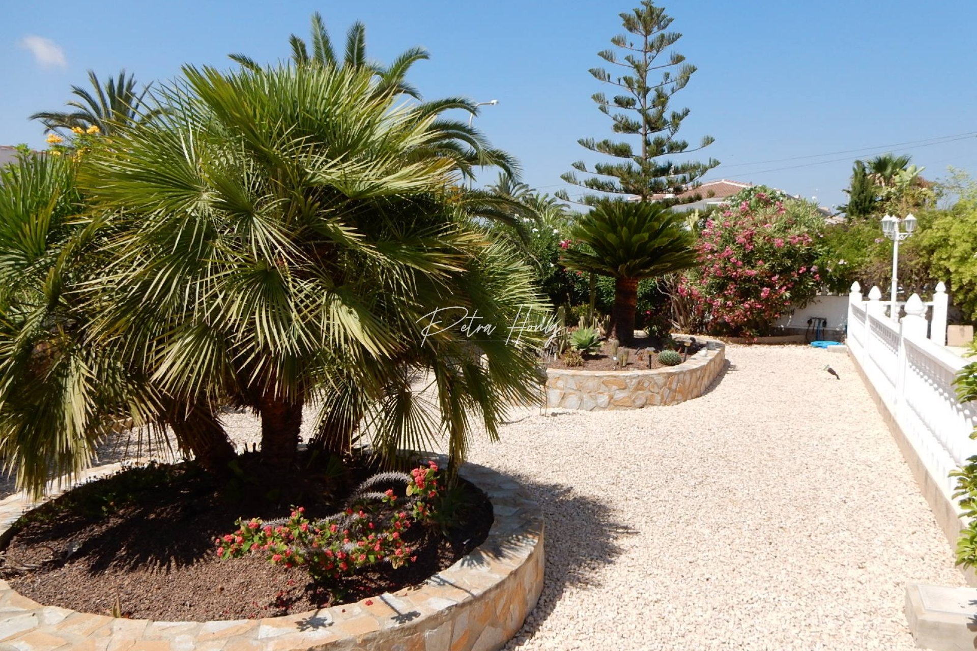 A Vendre - Villa - Ciudad Quesada - Town Center