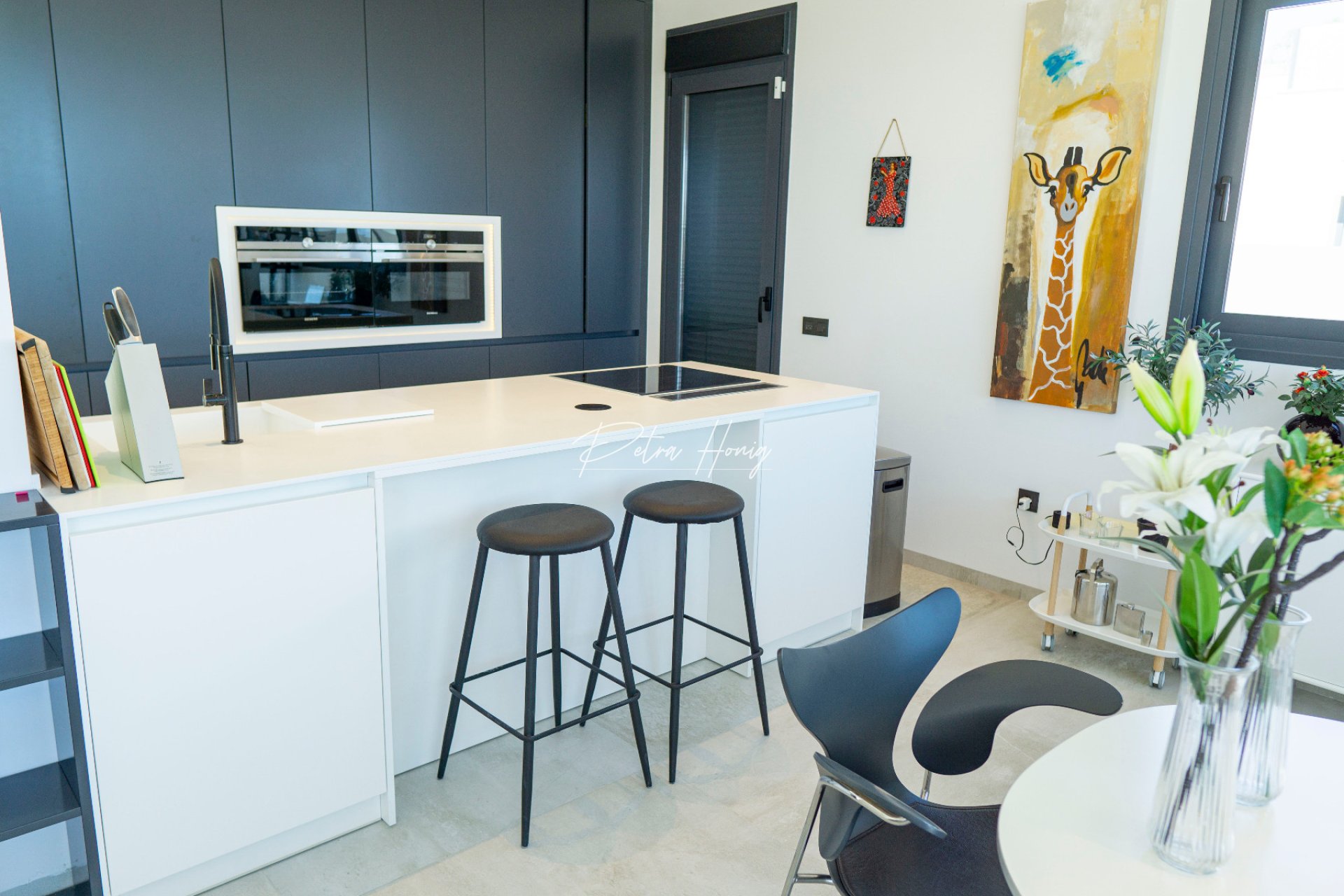 A Vendre - Villa - Ciudad Quesada