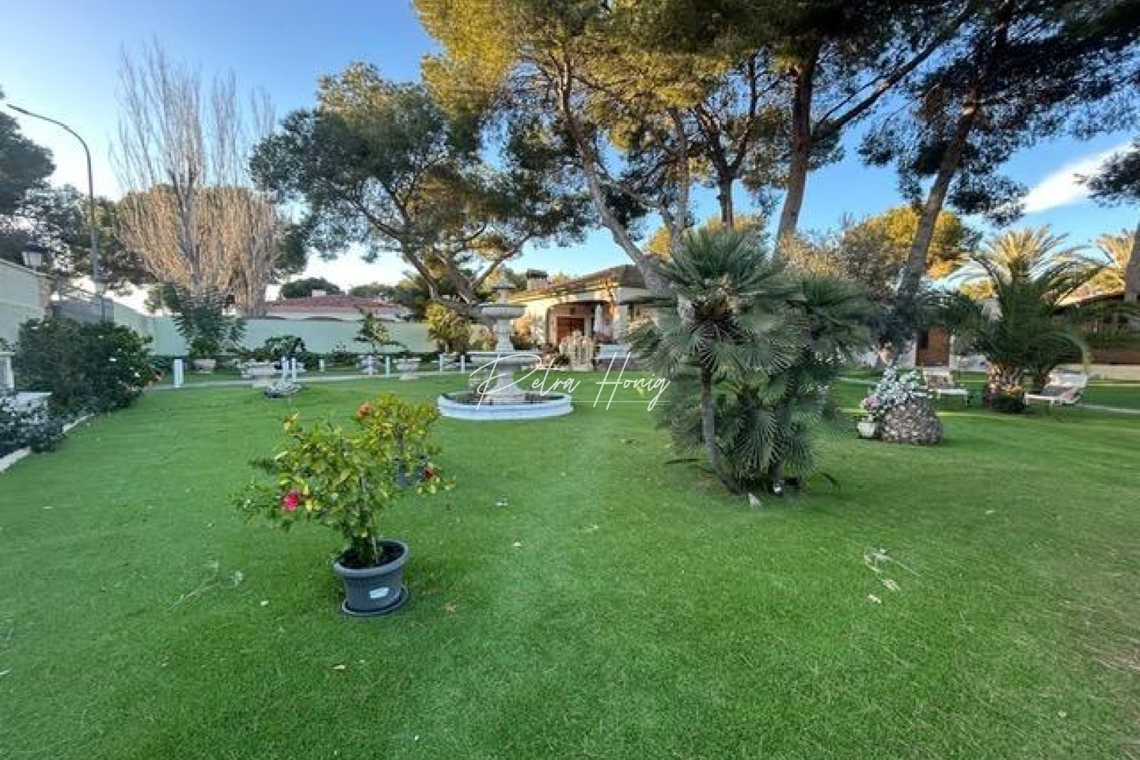 A Vendre - Villa - Dehesa de campoamor - Campoamor