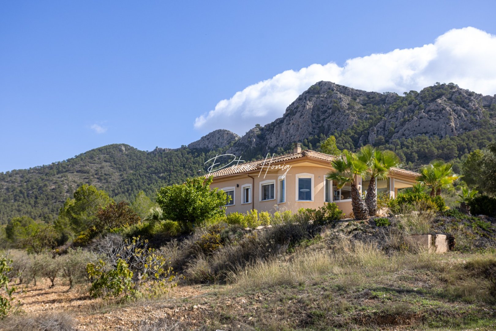 A Vendre - Villa - Detached - Other areas - La Zarza Murcia