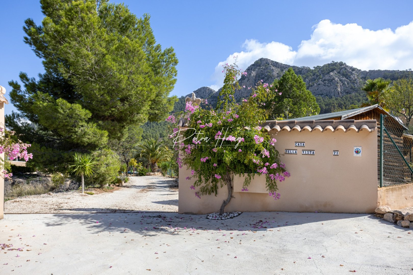 A Vendre - Villa - Other areas - La Zarza Murcia