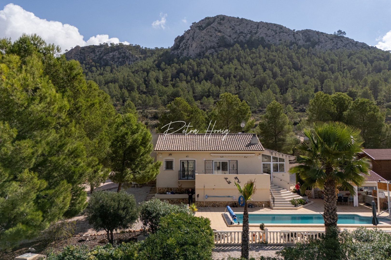 A Vendre - Villa - Other areas - La Zarza