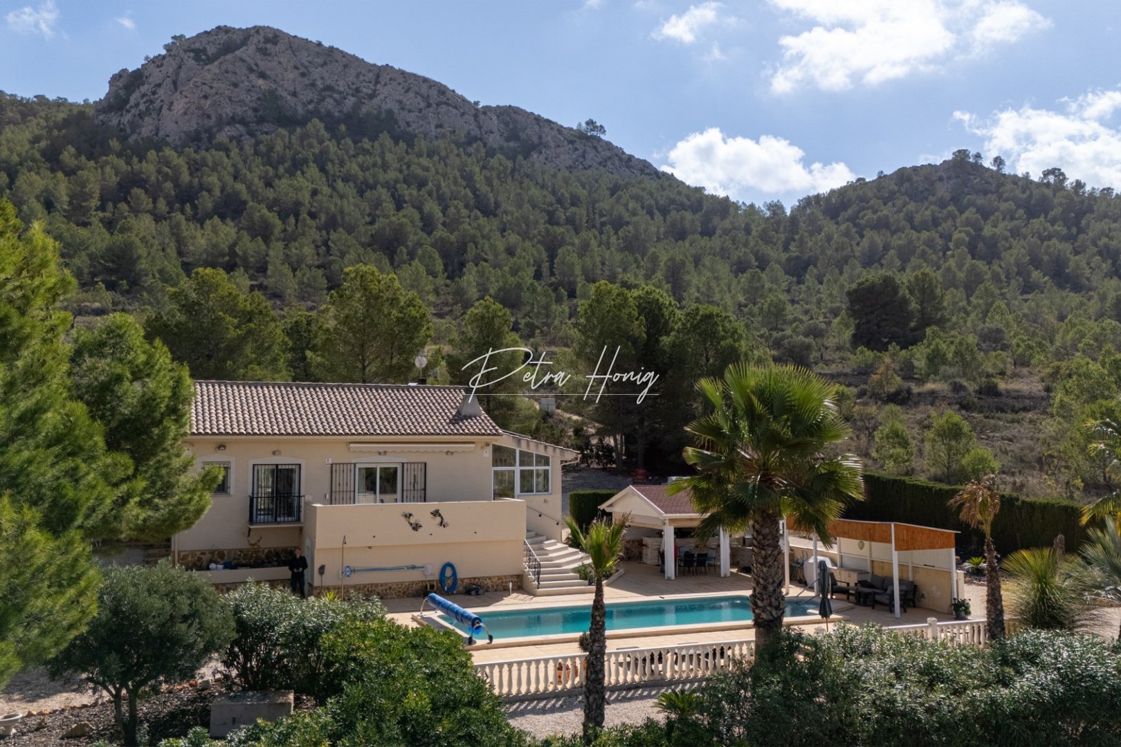 A Vendre - Villa - Other areas - La Zarza