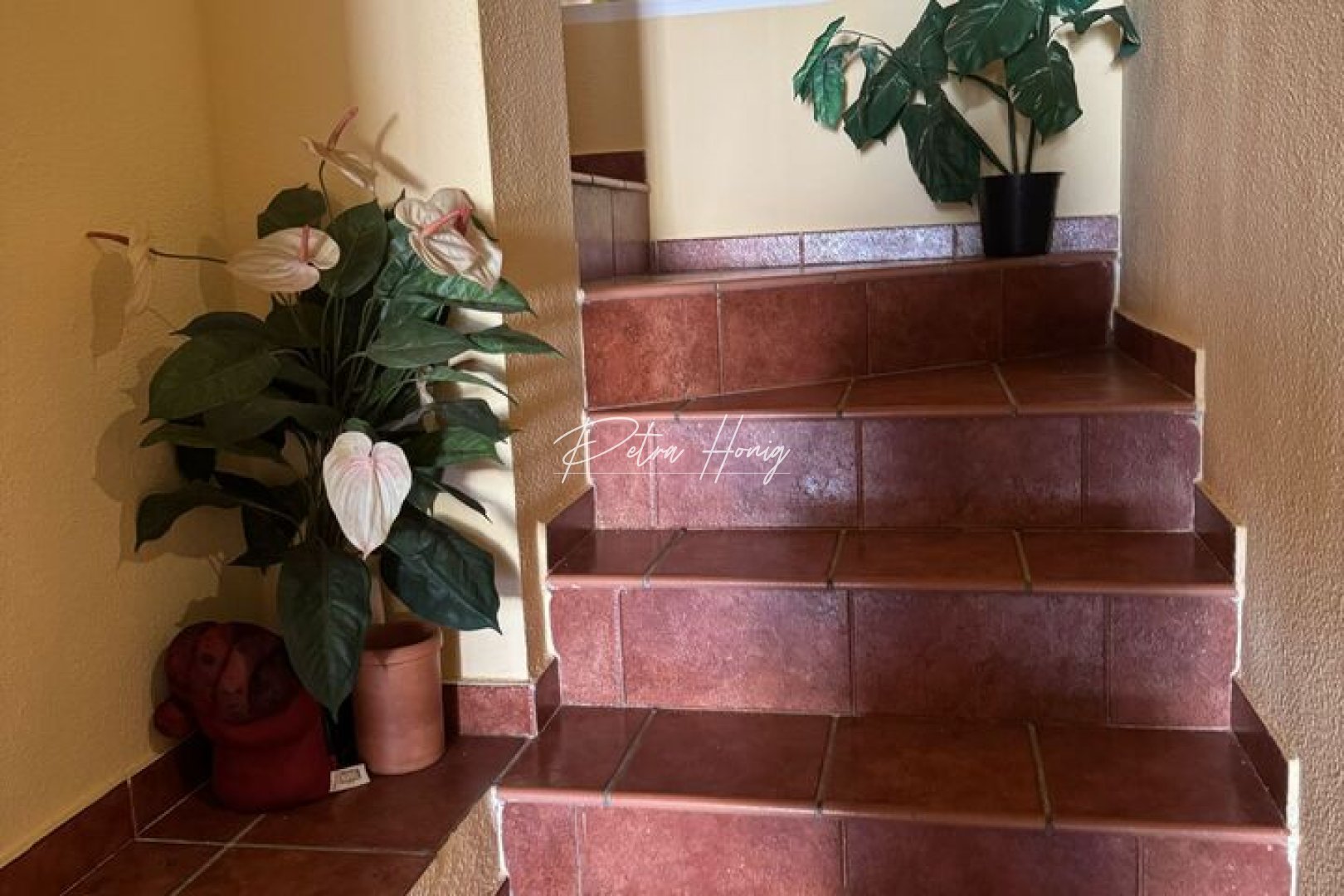 A Vendre - Villa - Playa Flamenca - Play Flamenca