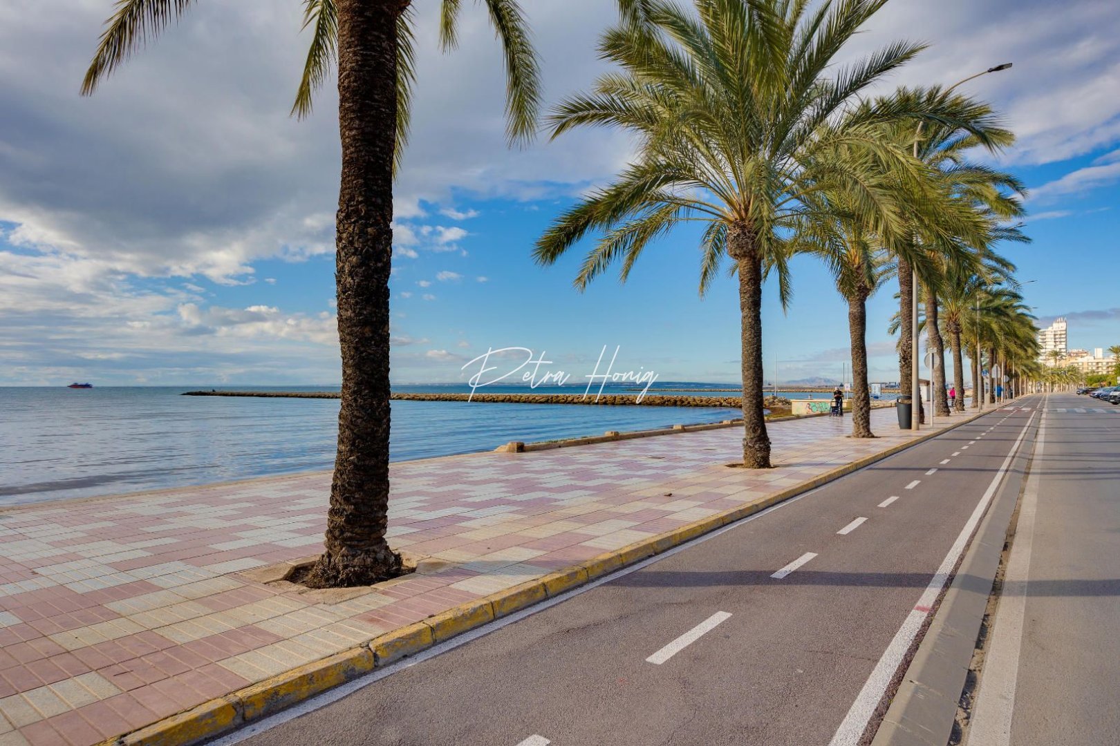 A Vendre - Villa - Santa Pola