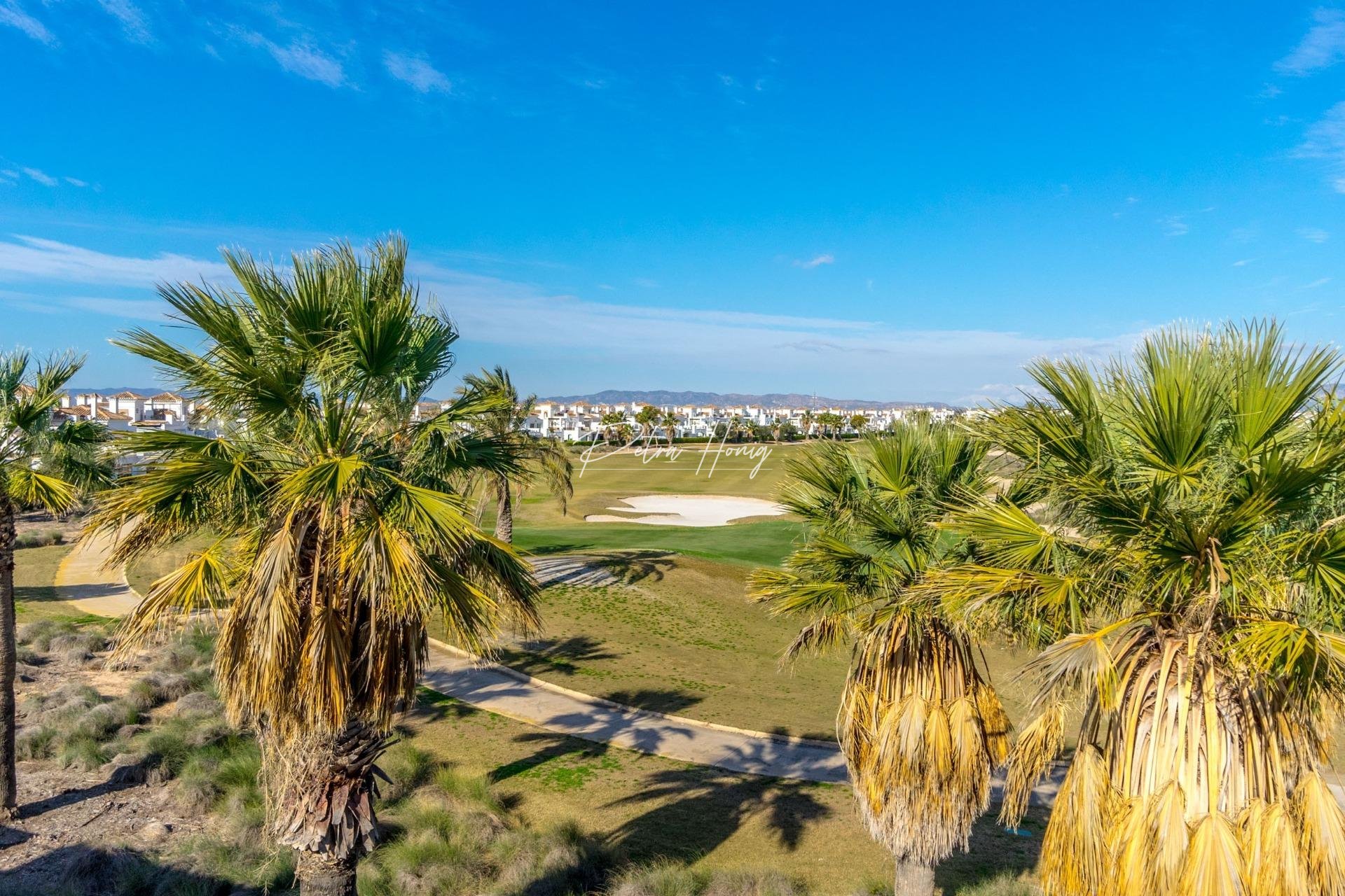 A Vendre - Villa - Torre - Pacheco - Roldán