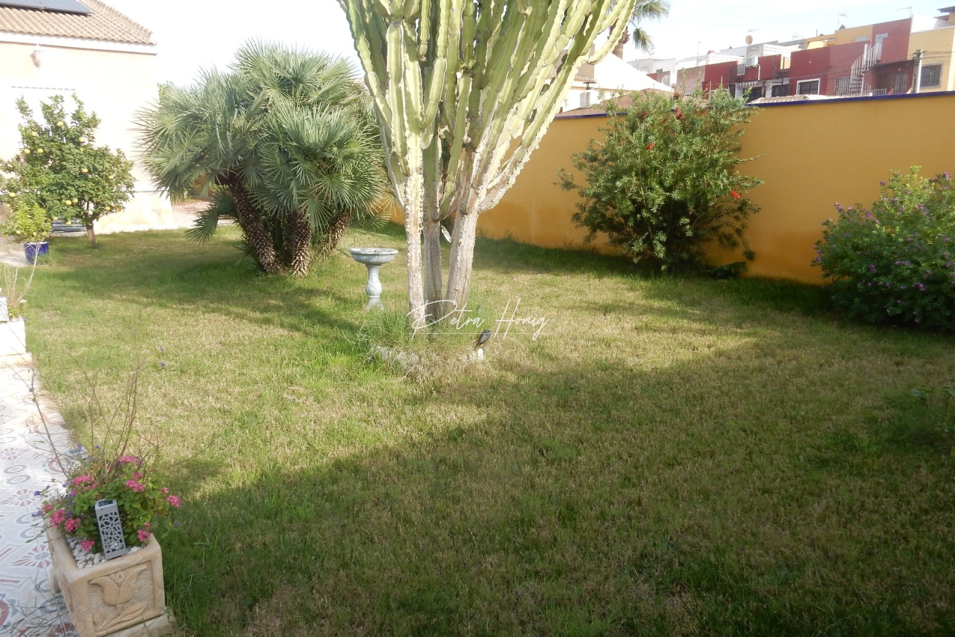 A Vendre - Villa - Torrevieja - El Chaparral/La Siesta