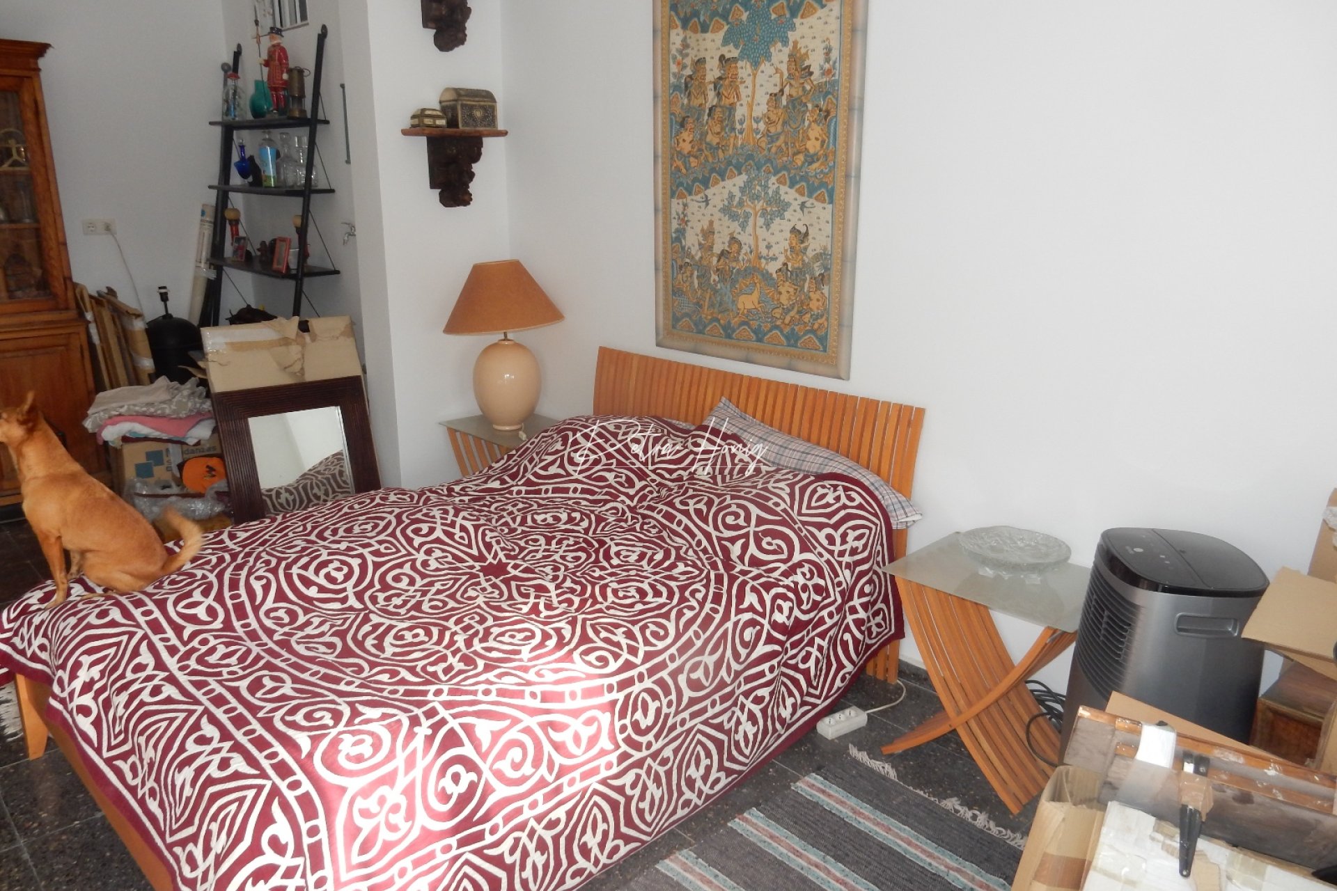 A Vendre - Villa - Torrevieja - El Chaparral/La Siesta
