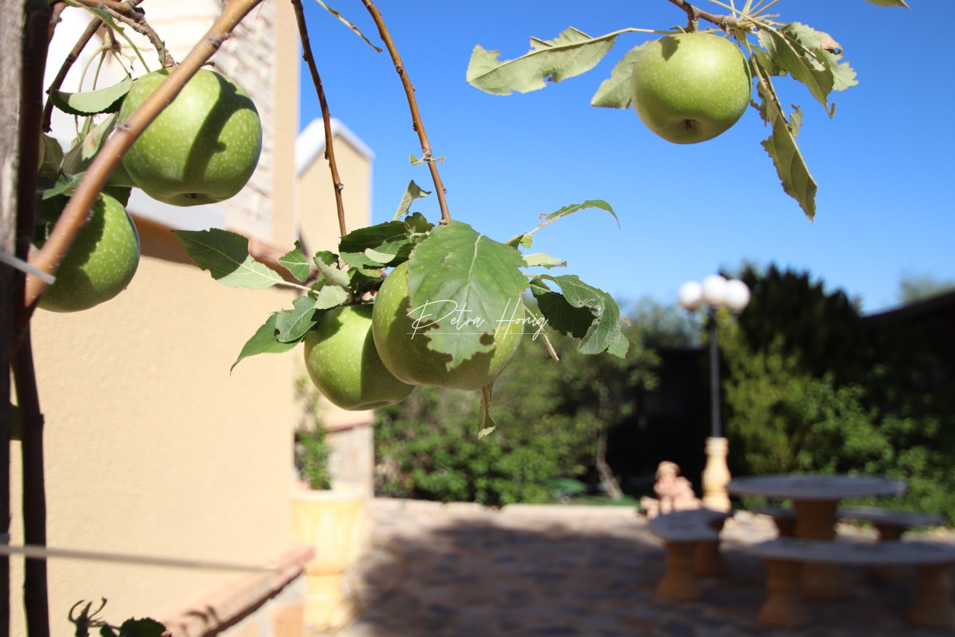 A Vendre - Villa - Vista Bella Golf - Vistabella golf