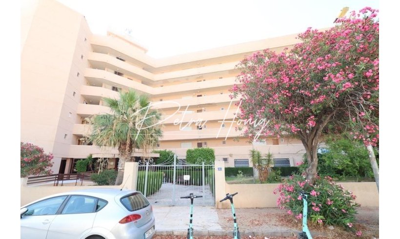 Commercial - Til Salgs - Orihuela Costa - La Zenia