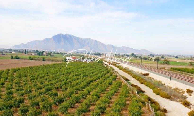 Finca - Til Salgs - Callosa De Segura - Callosa De Segura