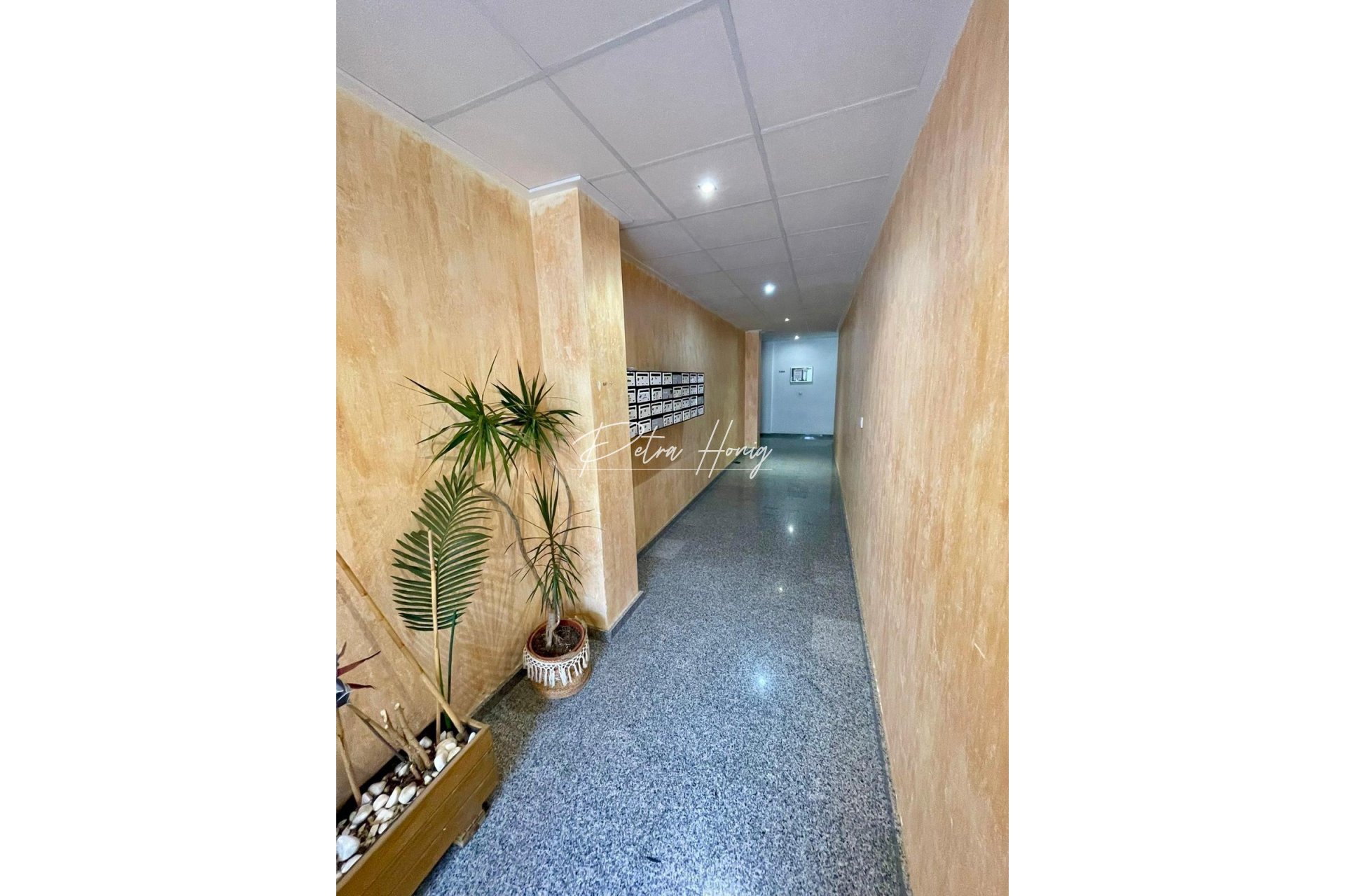 Gebrauchtobjekte - Apartment - Benijofar - Pueblo 4