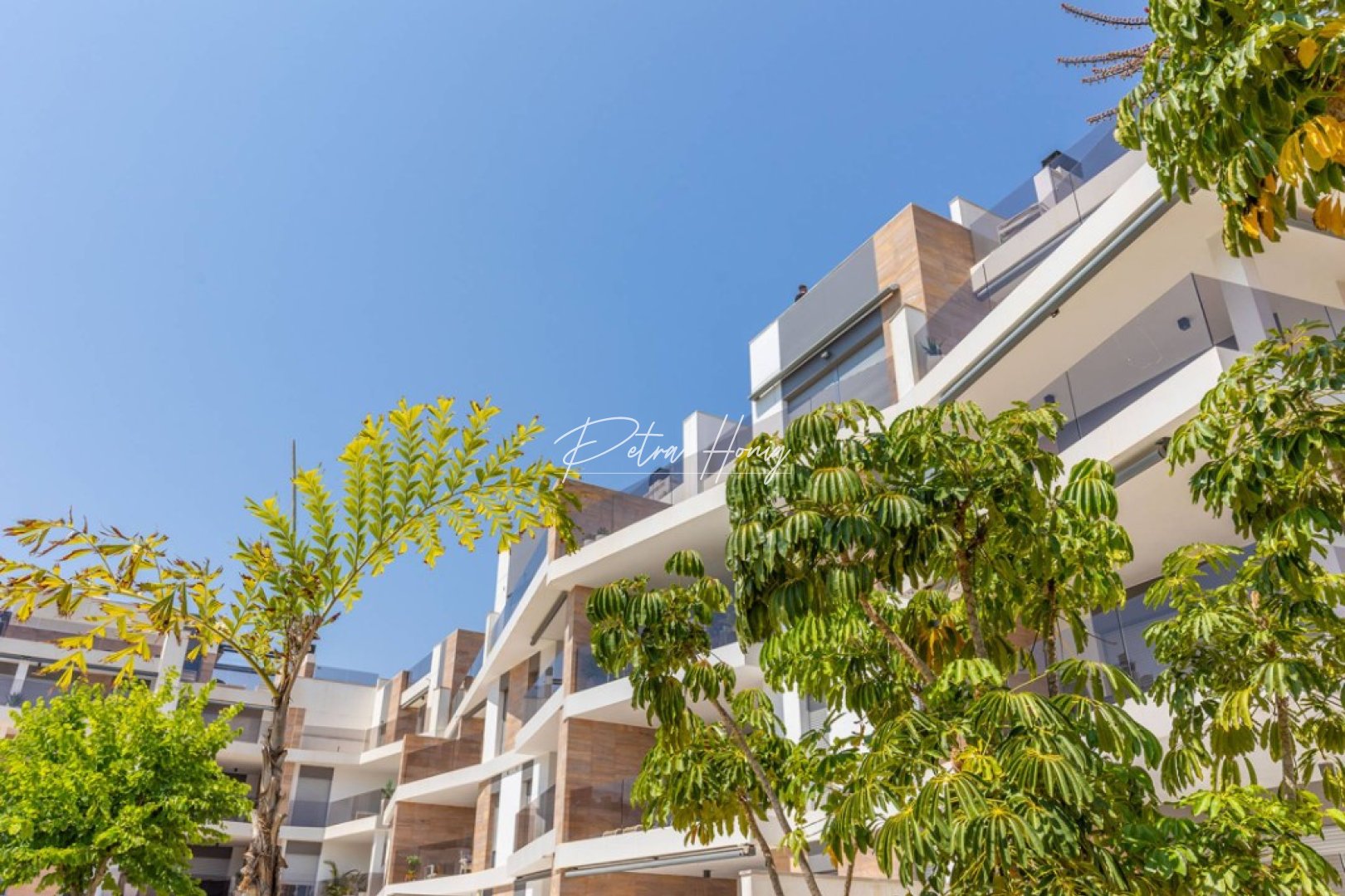 Gebrauchtobjekte - Apartment - Cabo Roig