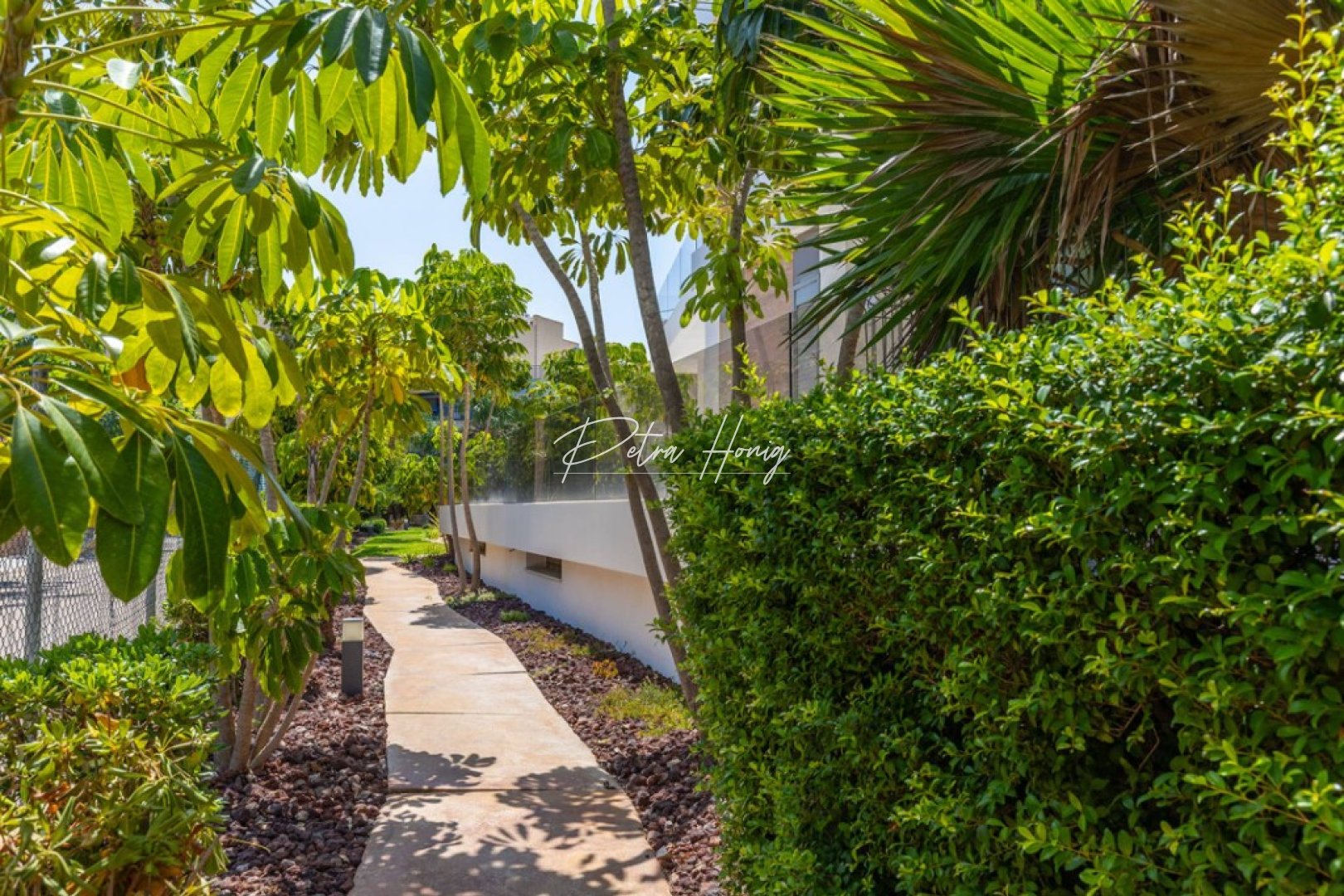 Gebrauchtobjekte - Apartment - Cabo Roig