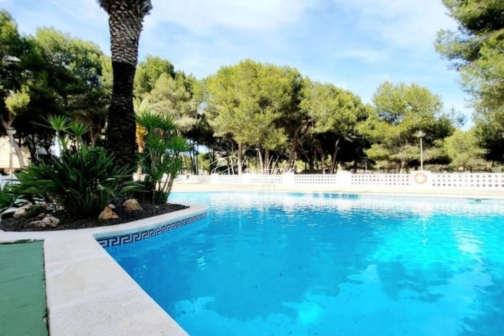 Gebrauchtobjekte - Apartment - Campoamor - Dehesa De Campoamor