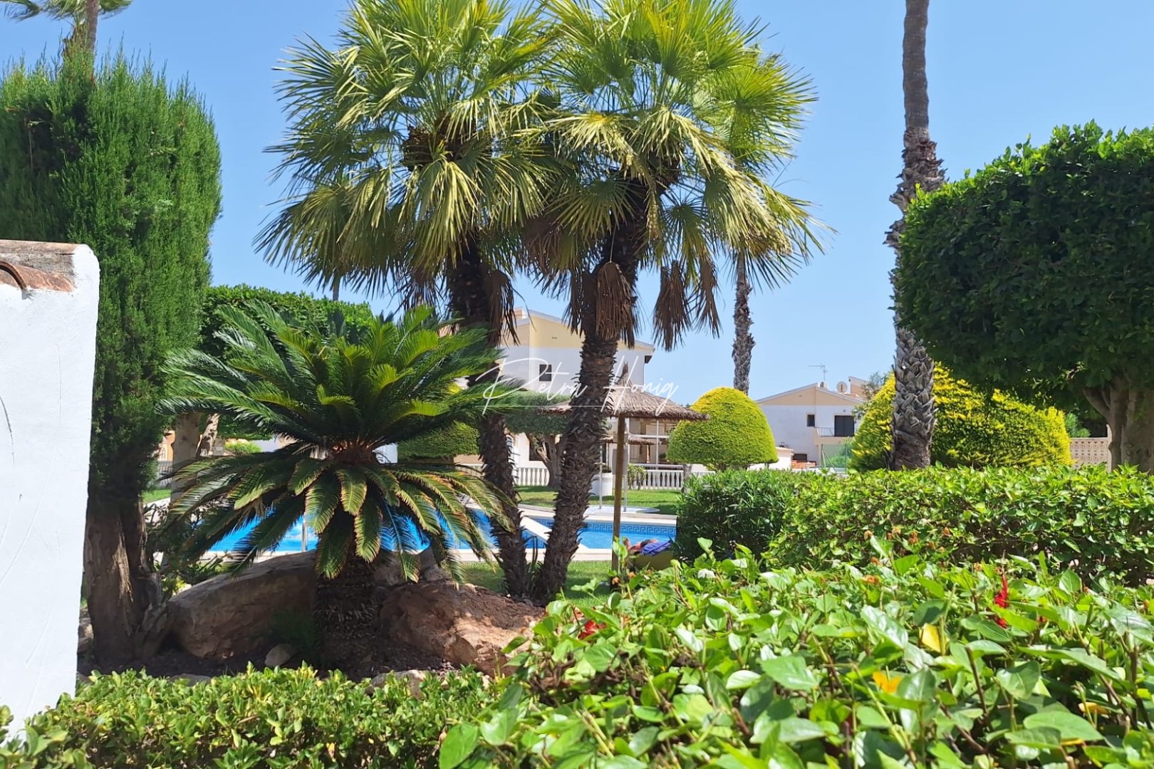 Gebrauchtobjekte - Apartment - Ciudad Quesada - Town Center