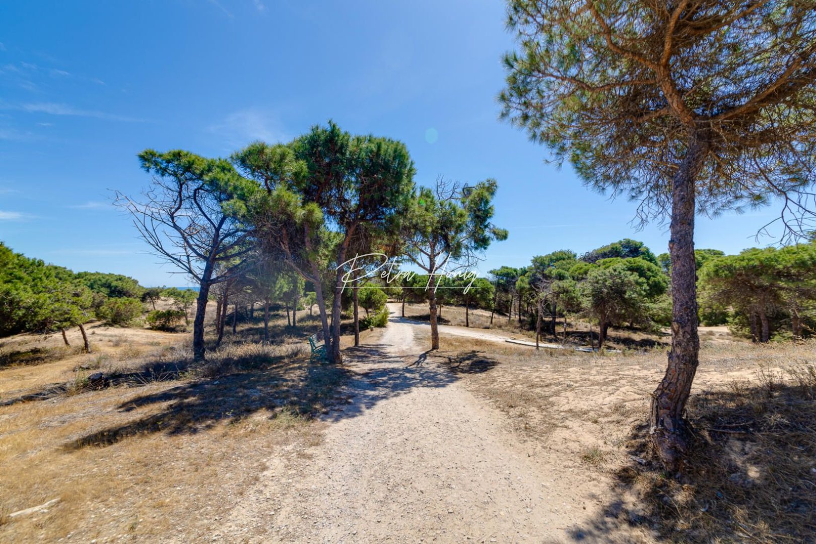 Gebrauchtobjekte - Apartment - Guardamar del Segura - Pinomar