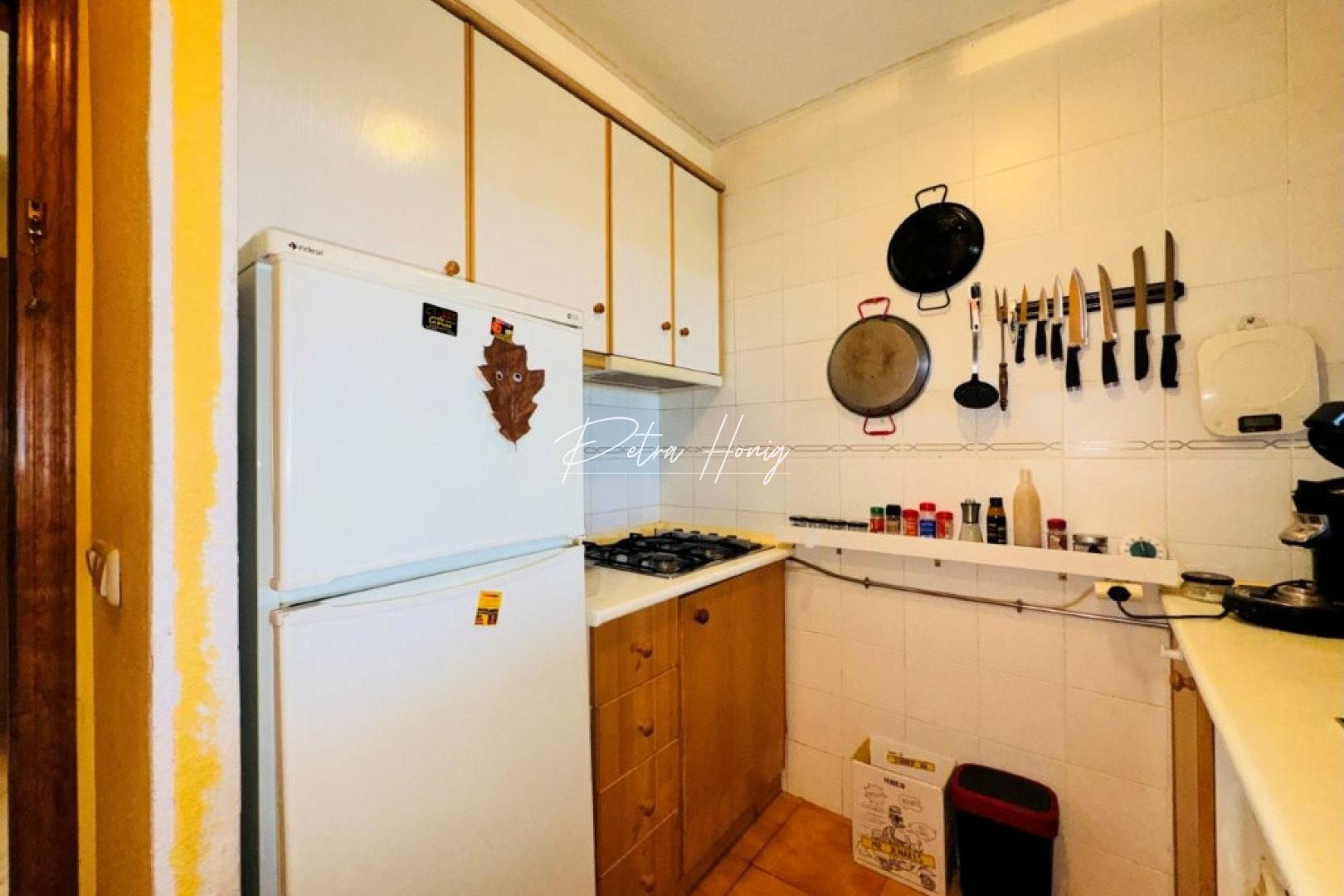 Gebrauchtobjekte - Apartment - La Mata - Puerto Romano